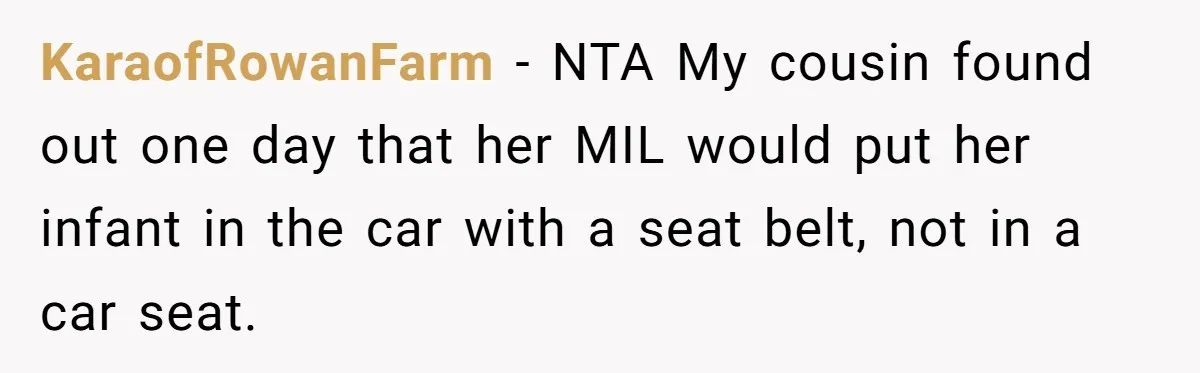 KaraofRowanFarm − NTA My cousin found out one day that her MIL would put her infant in the car with a seat belt, not in a car seat.