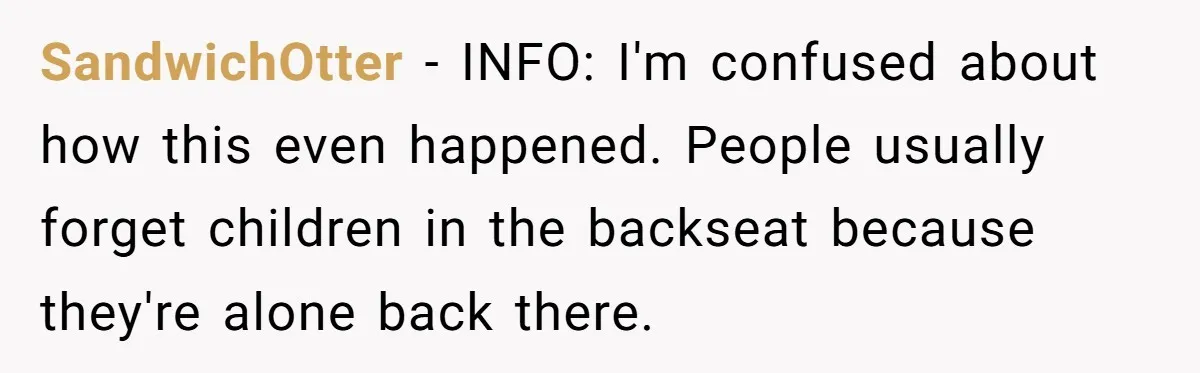 SandwichOtter − INFO: I'm confused about how this even happened. People usually forget children in the backseat because they're alone back there.