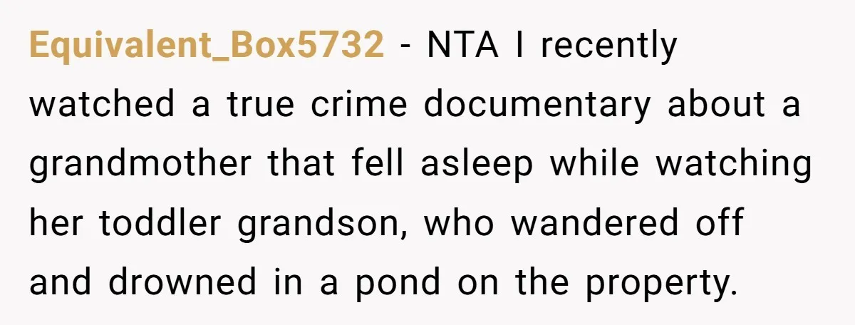 Equivalent_Box5732 − NTA I recently watched a true crime documentary about a grandmother that fell asleep while watching her toddler grandson, who wandered off and drowned in a pond on...