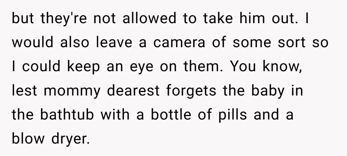 but they're not allowed to take him out. I would also leave a camera of some sort so I could keep an eye on them. You know, lest mommy dearest...