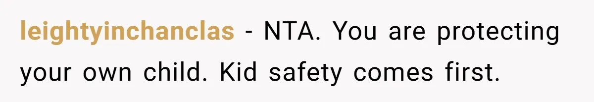 leightyinchanclas − NTA. You are protecting your own child. Kid safety comes first.