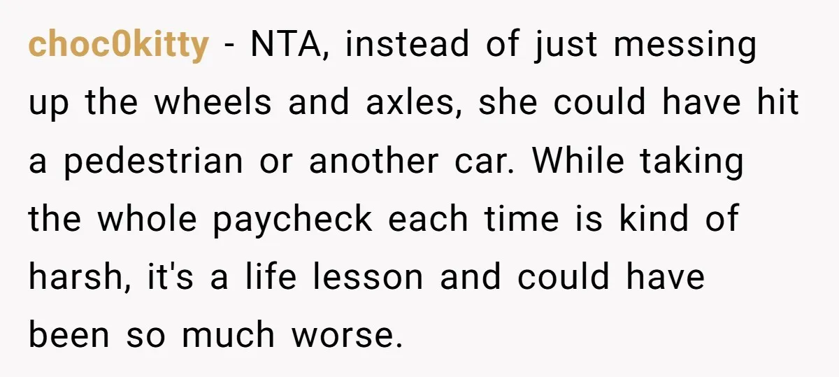 choc0kitty − NTA, instead of just messing up the wheels and axles, she could have hit a pedestrian or another car. While taking the whole paycheck each time is kind...