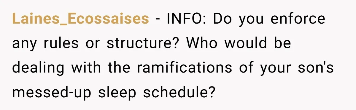Laines_Ecossaises − INFO: Do you enforce any rules or structure? Who would be dealing with the ramifications of your son's messed-up sleep schedule?