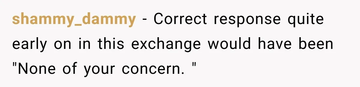 shammy_dammy − Correct response quite early on in this exchange would have been "None of your concern. "