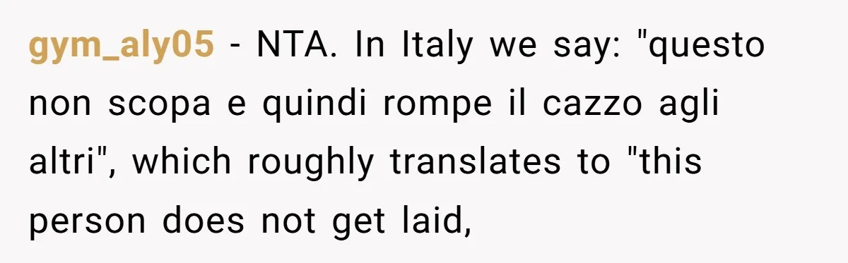 gym_aly05 − NTA. In Italy we say: "questo non scopa e quindi rompe il cazzo agli altri", which roughly translates to "this person does not get laid,