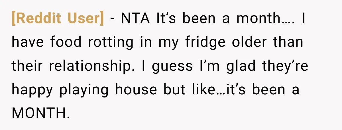 [Reddit User] − NTA It’s been a month…. I have food rotting in my fridge older than their relationship. I guess I’m glad they’re happy playing house but like…it’s been...