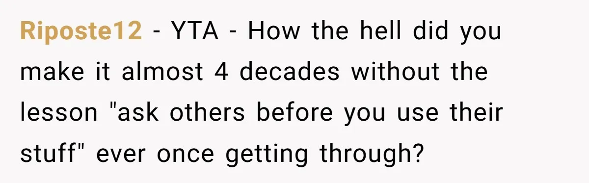 Riposte12 − YTA - How the hell did you make it almost 4 decades without the lesson "ask others before you use their stuff" ever once getting through?