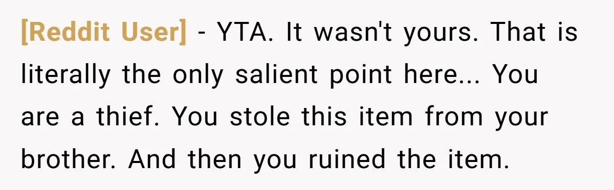 [Reddit User] − YTA. It wasn't yours. That is literally the only salient point here... You are a thief. You stole this item from your brother. And then you ruined...