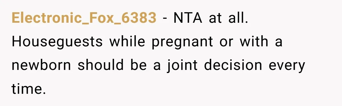 Electronic_Fox_6383 − NTA at all. Houseguests while pregnant or with a newborn should be a joint decision every time.