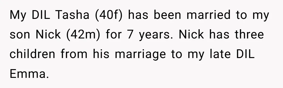 My DIL Tasha (40f) has been married to my son Nick (42m) for 7 years. Nick has three children from his marriage to my late DIL Emma.