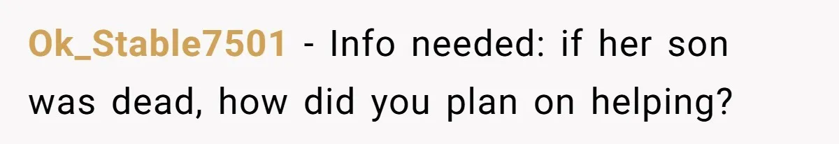 Ok_Stable7501 − Info needed: if her son was dead, how did you plan on helping?