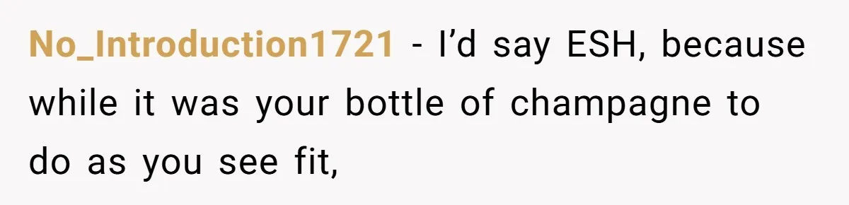 No_Introduction1721 − I’d say ESH, because while it was your bottle of champagne to do as you see fit,