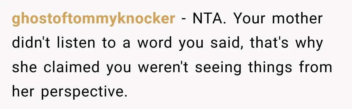 ghostoftommyknocker − NTA. Your mother didn't listen to a word you said, that's why she claimed you weren't seeing things from her perspective.