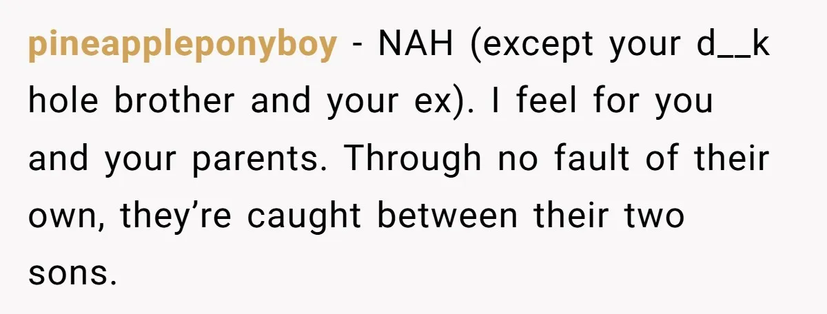pineappleponyboy − NAH (except your d__k hole brother and your ex). I feel for you and your parents. Through no fault of their own, they’re caught between their two sons.