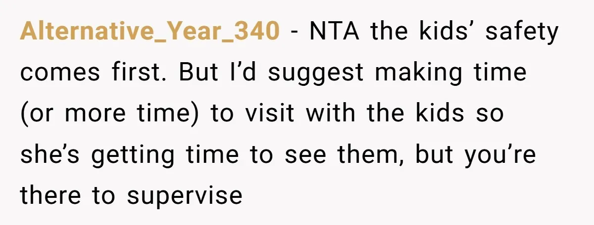 Alternative_Year_340 − NTA the kids’ safety comes first. But I’d suggest making time (or more time) to visit with the kids so she’s getting time to see them, but you’re...