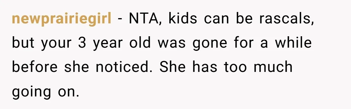 newprairiegirl − NTA, kids can be rascals, but your 3 year old was gone for a while before she noticed. She has too much going on.