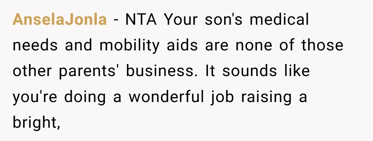 AnselaJonla − NTA Your son's medical needs and mobility aids are none of those other parents' business. It sounds like you're doing a wonderful job raising a bright,