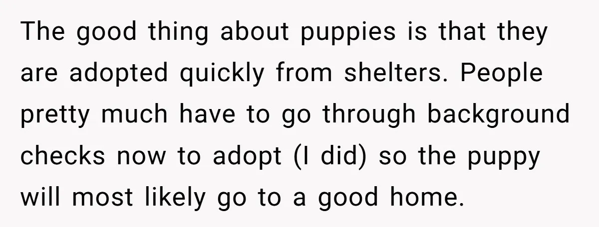 The good thing about puppies is that they are adopted quickly from shelters. People pretty much have to go through background checks now to adopt (I did) so the puppy...