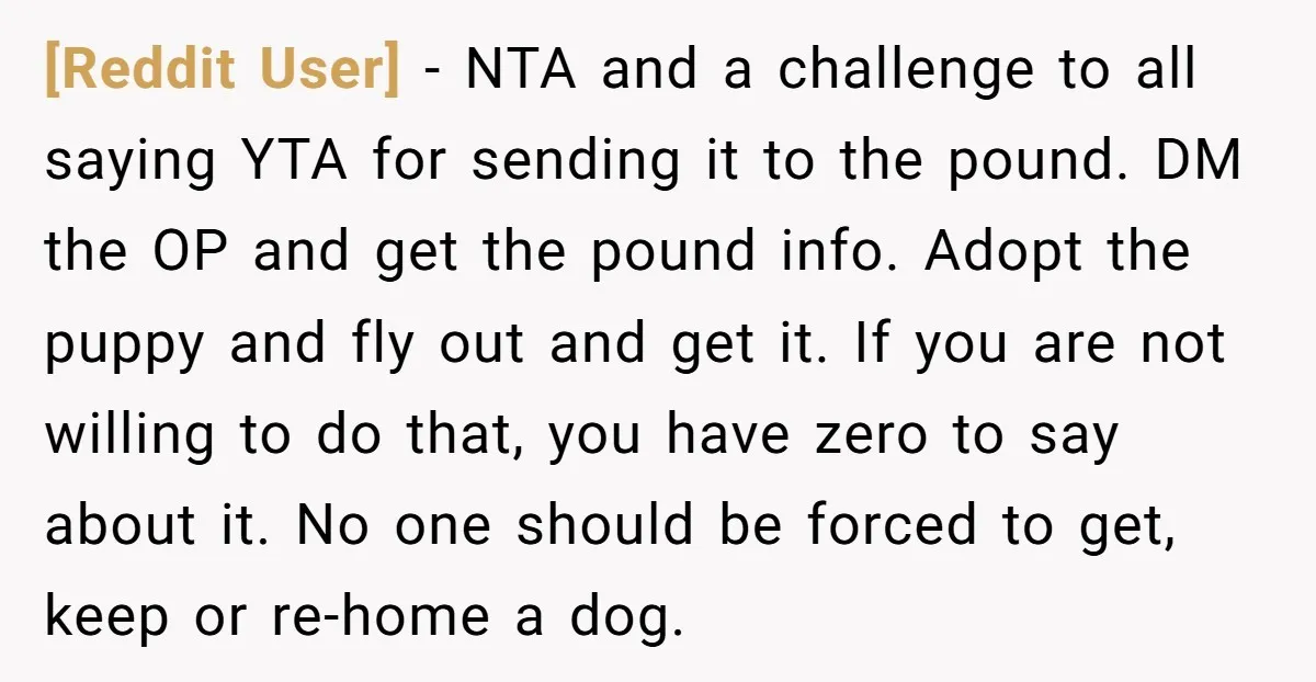 [Reddit User] − NTA and a challenge to all saying YTA for sending it to the pound. DM the OP and get the pound info. Adopt the puppy and fly...