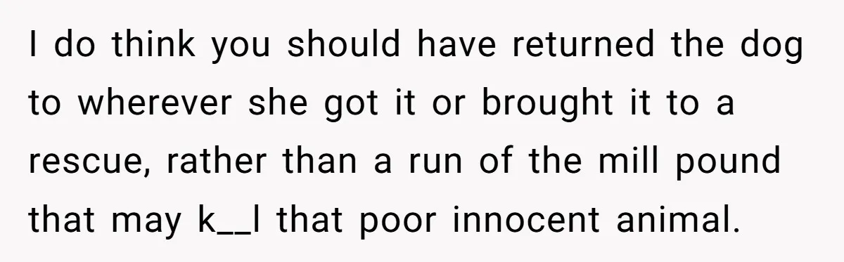 I do think you should have returned the dog to wherever she got it or brought it to a rescue, rather than a run of the mill pound that may...
