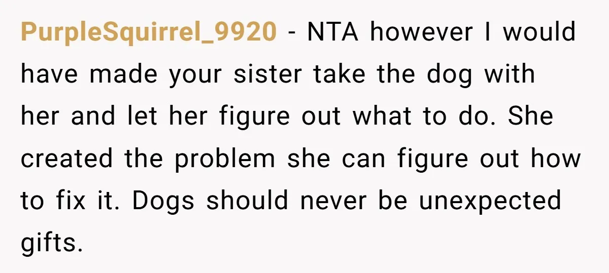 PurpleSquirrel_9920 − NTA however I would have made your sister take the dog with her and let her figure out what to do. She created the problem she can figure...