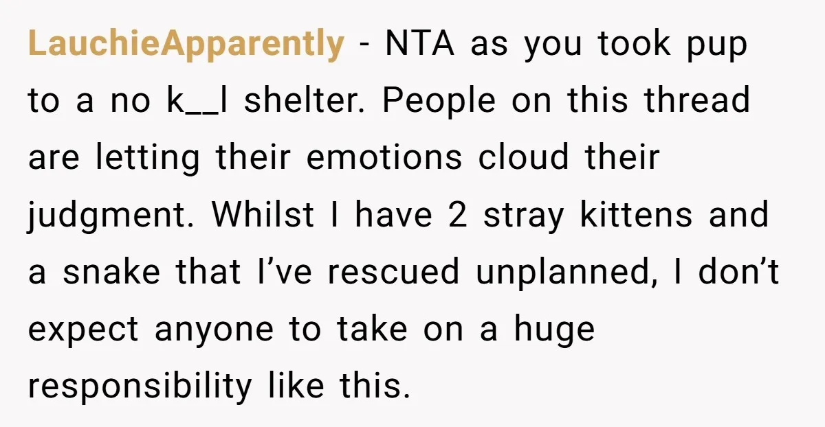 LauchieApparently − NTA as you took pup to a no k__l shelter. People on this thread are letting their emotions cloud their judgment. Whilst I have 2 stray kittens and...