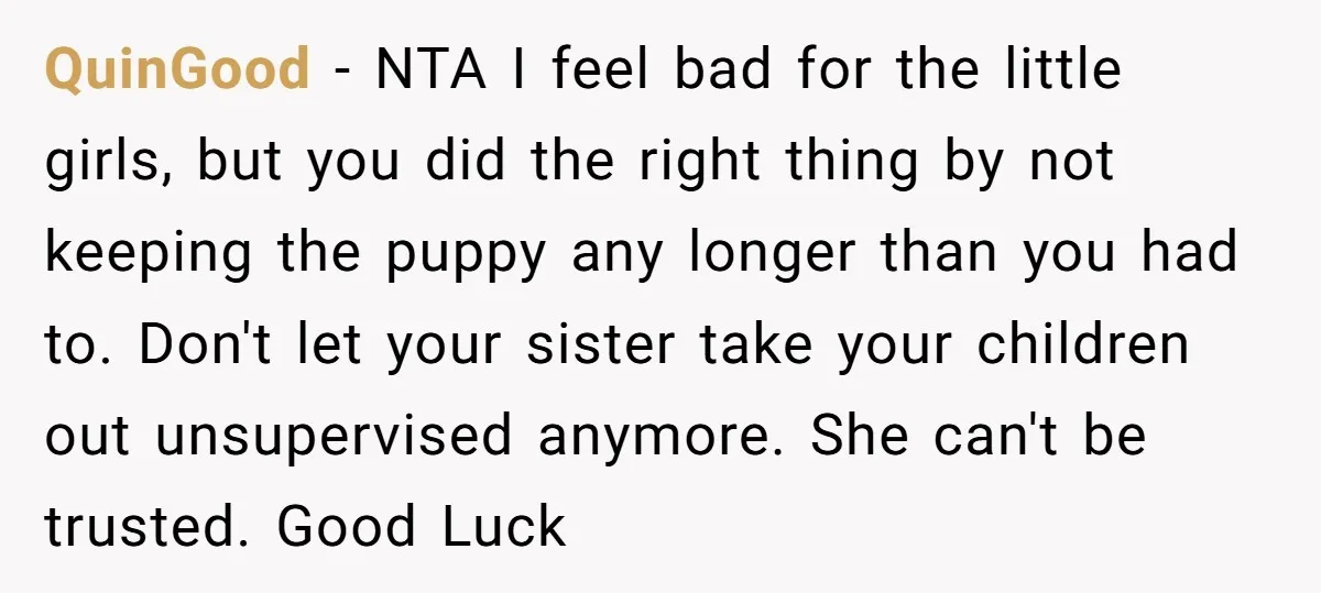 QuinGood − NTA I feel bad for the little girls, but you did the right thing by not keeping the puppy any longer than you had to. Don't let your...