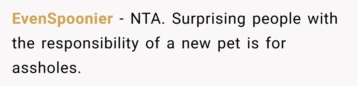 EvenSpoonier − NTA. Surprising people with the responsibility of a new pet is for assholes.