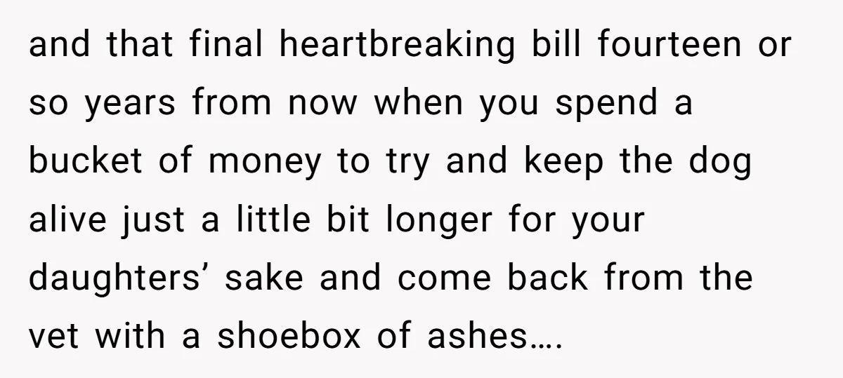 and that final heartbreaking bill fourteen or so years from now when you spend a bucket of money to try and keep the dog alive just a little bit longer...