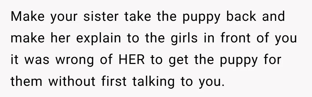 Make your sister take the puppy back and make her explain to the girls in front of you it was wrong of HER to get the puppy for them without...