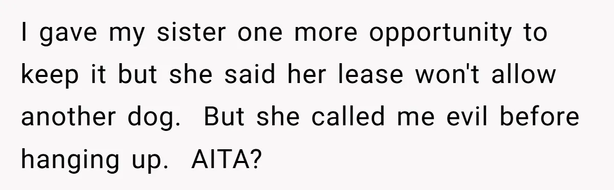 I gave my sister one more opportunity to keep it but she said her lease won't allow another dog.  But she called me evil before hanging up.  AITA?
