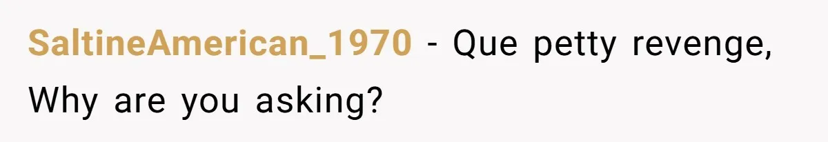 SaltineAmerican_1970 − Que petty revenge, Why are you asking?