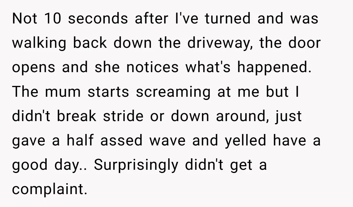 Not 10 seconds after I've turned and was walking back down the driveway, the door opens and she notices what's happened. The mum starts screaming at me but I didn't...