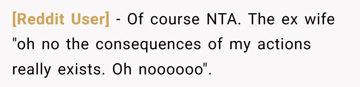 [Reddit User] − Of course NTA. The ex wife "oh no the consequences of my actions really exists. Oh noooooo".