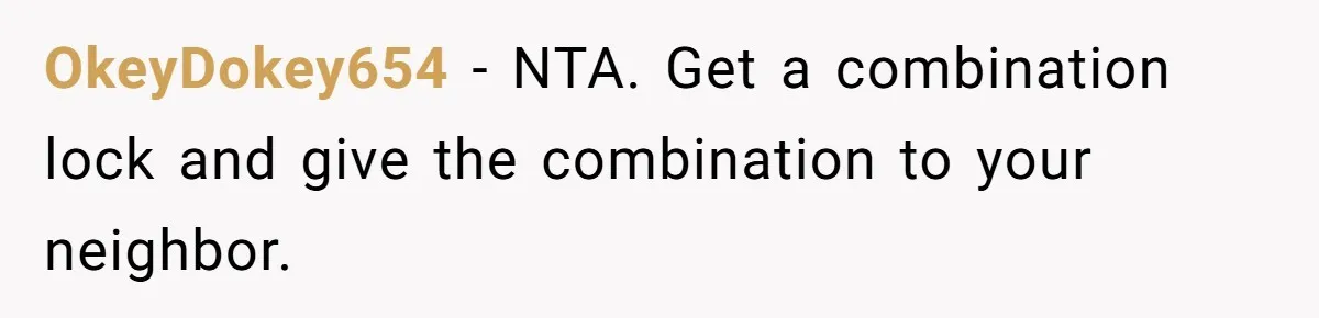 OkeyDokey654 − NTA. Get a combination lock and give the combination to your neighbor.