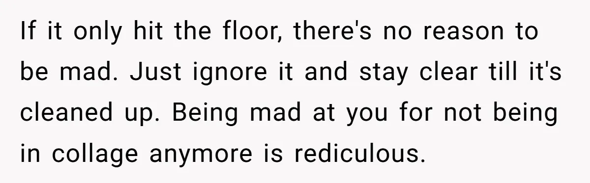 If it only hit the floor, there's no reason to be mad. Just ignore it and stay clear till it's cleaned up. Being mad at you for not being in...