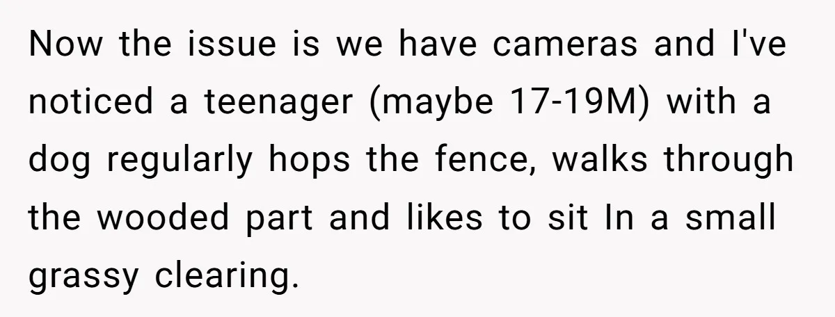 Now the issue is we have cameras and I've noticed a teenager (maybe 17-19M) with a dog regularly hops the fence, walks through the wooded part and likes to sit...