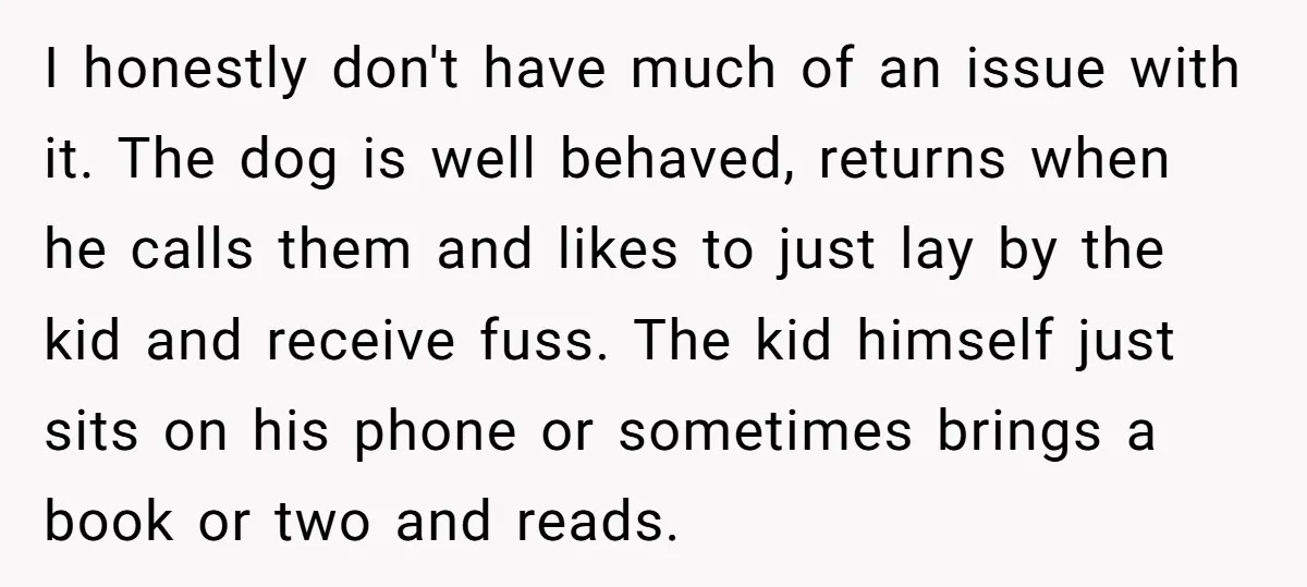 I honestly don't have much of an issue with it. The dog is well behaved, returns when he calls them and likes to just lay by the kid and receive...