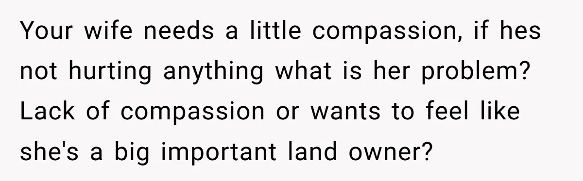 Your wife needs a little compassion, if hes not hurting anything what is her problem? Lack of compassion or wants to feel like she's a big important land owner?