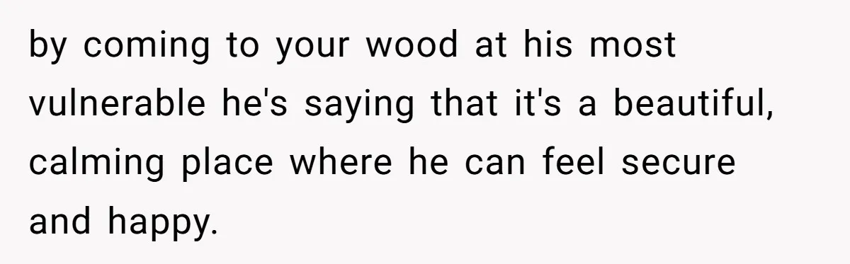 by coming to your wood at his most vulnerable he's saying that it's a beautiful, calming place where he can feel secure and happy.