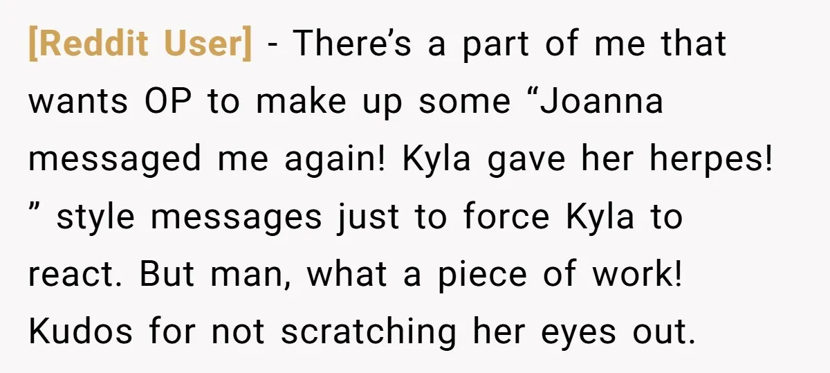 [Reddit User] − There’s a part of me that wants OP to make up some “Joanna messaged me again! Kyla gave her herpes! ” style messages just to force Kyla...