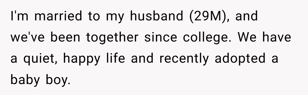 I'm married to my husband (29M), and we've been together since college. We have a quiet, happy life and recently adopted a baby boy.