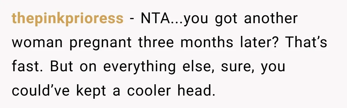 thepinkprioress − NTA...you got another woman pregnant three months later? That’s fast. But on everything else, sure, you could’ve kept a cooler head.
