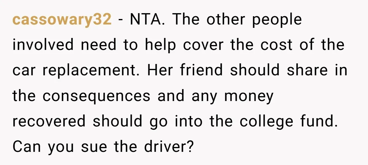 cassowary32 − NTA. The other people involved need to help cover the cost of the car replacement. Her friend should share in the consequences and any money recovered should go...