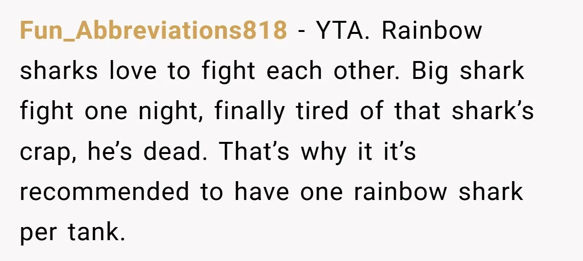 Fun_Abbreviations818 − YTA. Rainbow sharks love to fight each other. Big shark fight one night, finally tired of that shark’s crap, he’s dead. That’s why it it’s recommended to have...