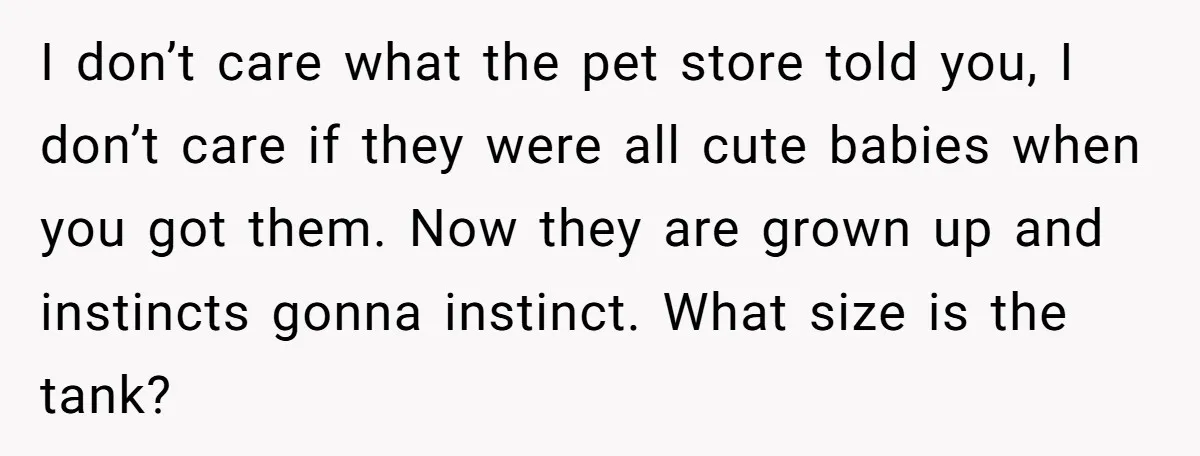 I don’t care what the pet store told you, I don’t care if they were all cute babies when you got them. Now they are grown up and instincts gonna...