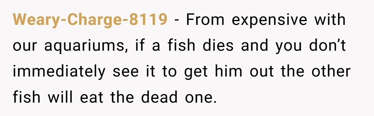 Weary-Charge-8119 − From expensive with our aquariums, if a fish dies and you don’t immediately see it to get him out the other fish will eat the dead one.