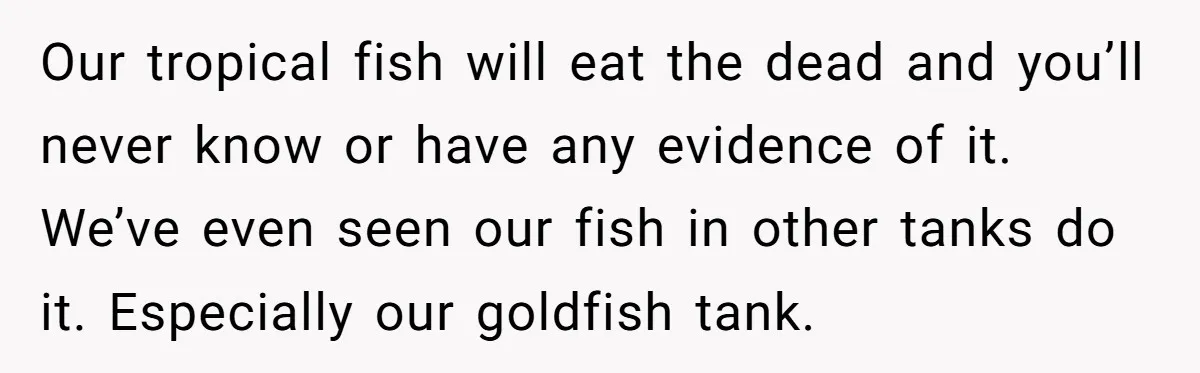 Our tropical fish will eat the dead and you’ll never know or have any evidence of it. We’ve even seen our fish in other tanks do it. Especially our goldfish...