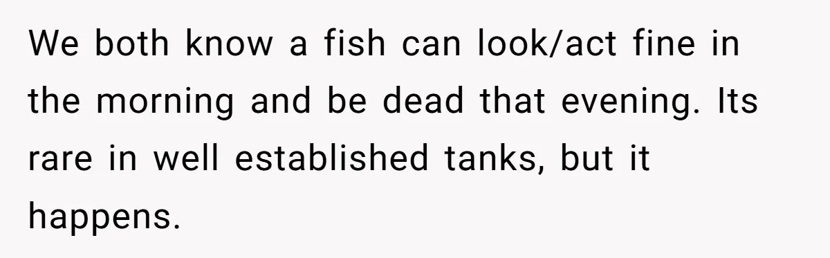 We both know a fish can look/act fine in the morning and be dead that evening. Its rare in well established tanks, but it happens.