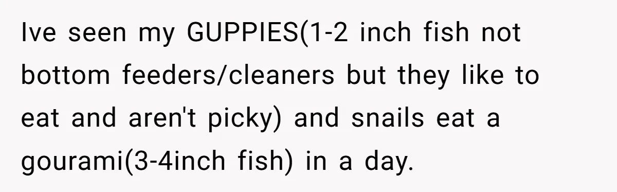 Ive seen my GUPPIES(1-2 inch fish not bottom feeders/cleaners but they like to eat and aren't picky) and snails eat a gourami(3-4inch fish) in a day.